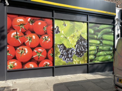 Window Graphics