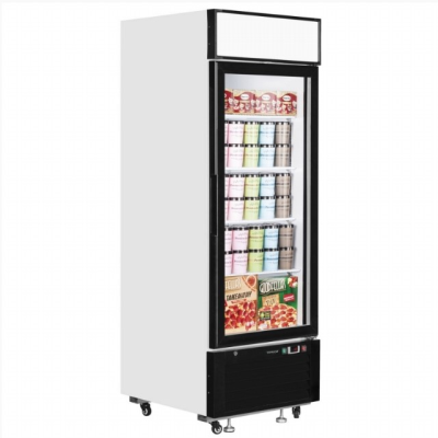 Glass Door Display Freezer